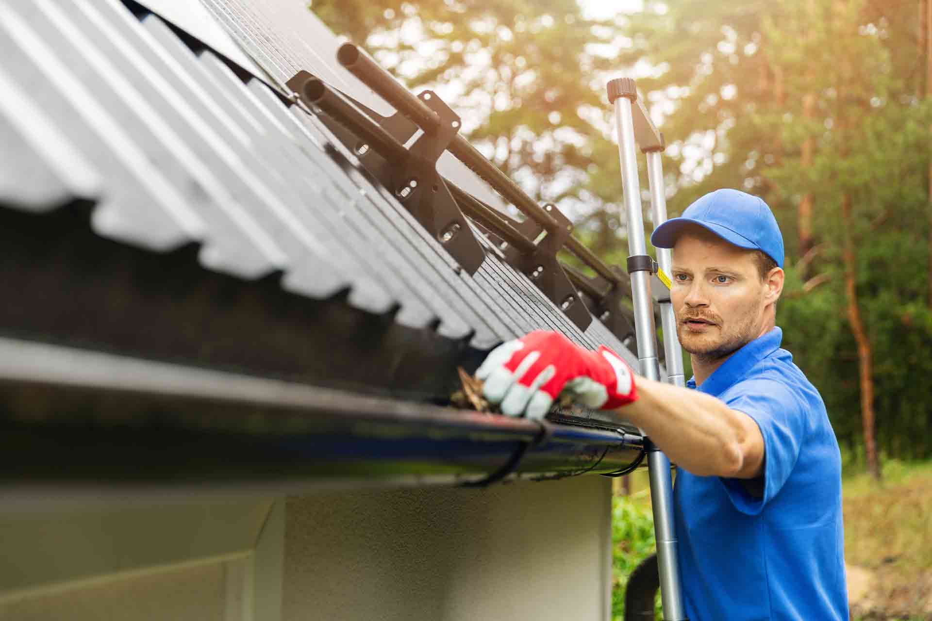 Emergency property maintenance and plumbing support